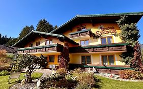 Pension Edelweiss Mitterberg